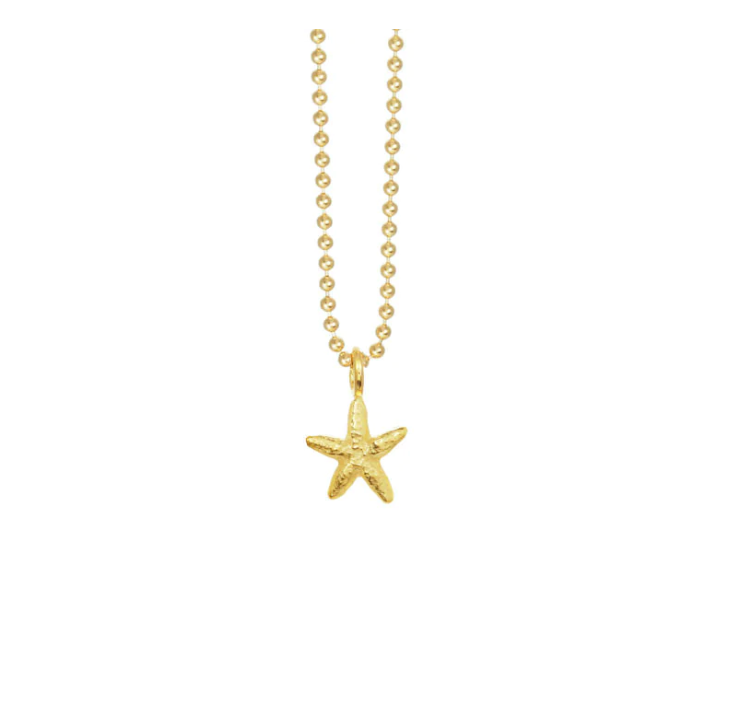 Mini Starfish Necklace - Vermeil