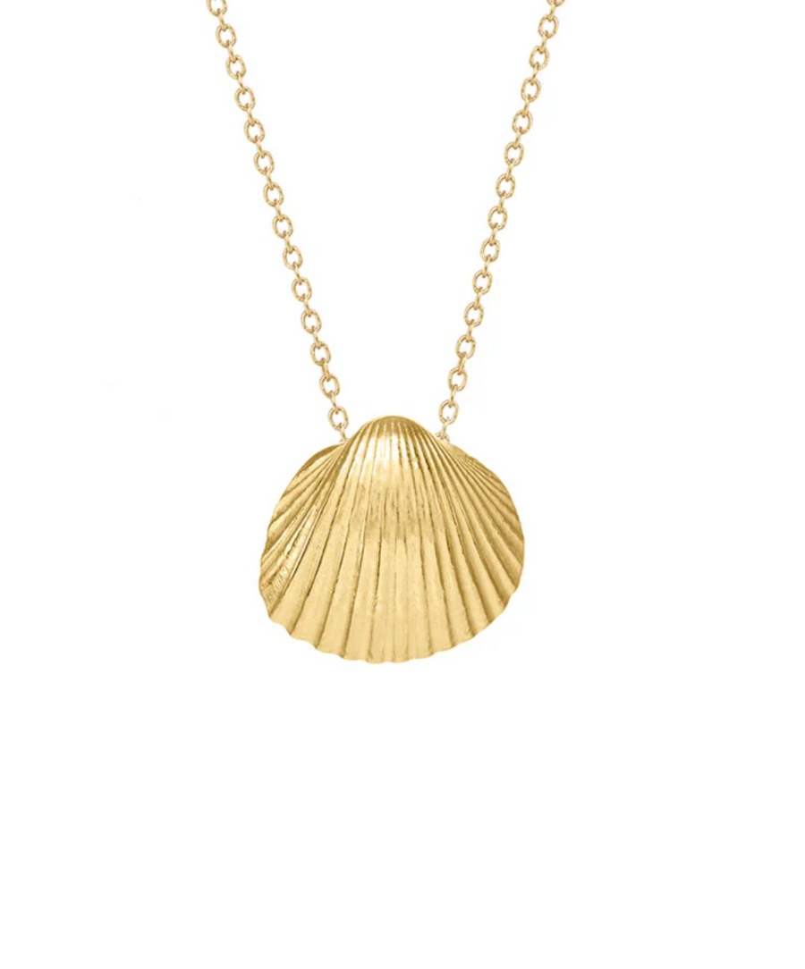 Small Sun Shell Necklace 18" - 18k Gold Vermeil