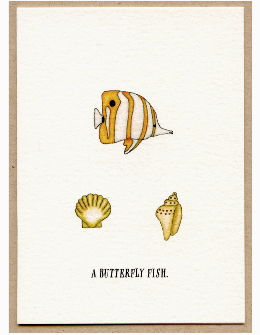 Box of Cards by Beth Mueller - Tropical Fish