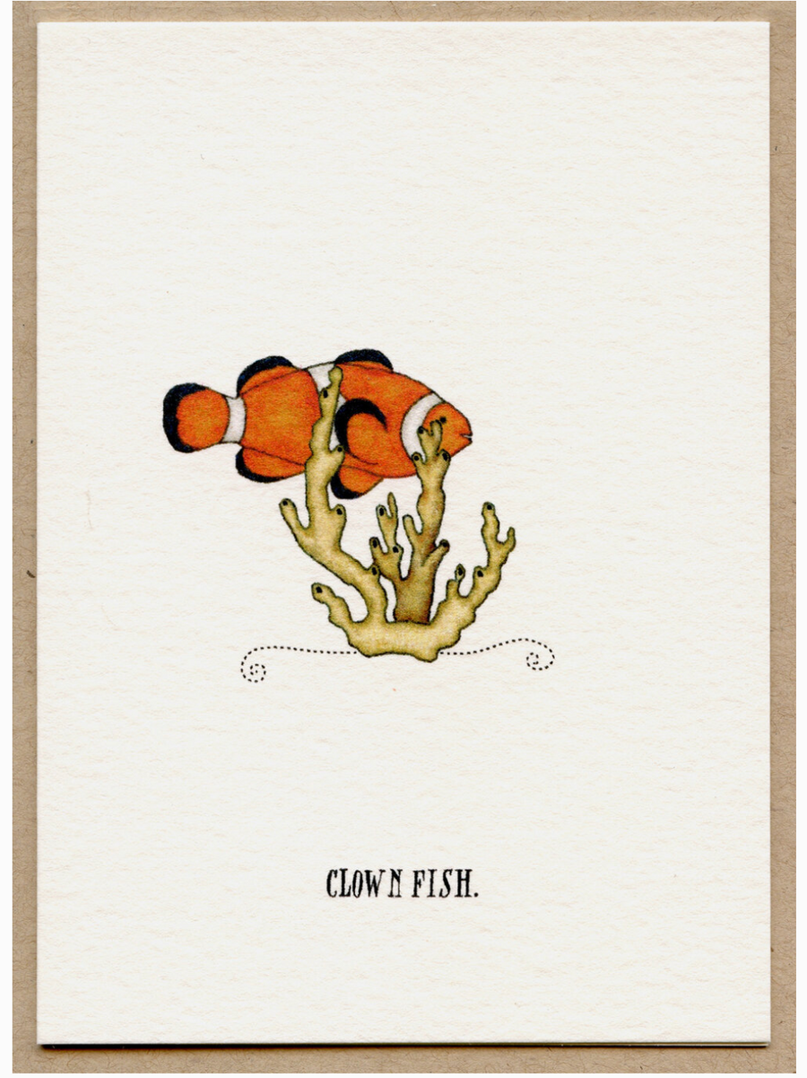 Box of Cards by Beth Mueller - Tropical Fish