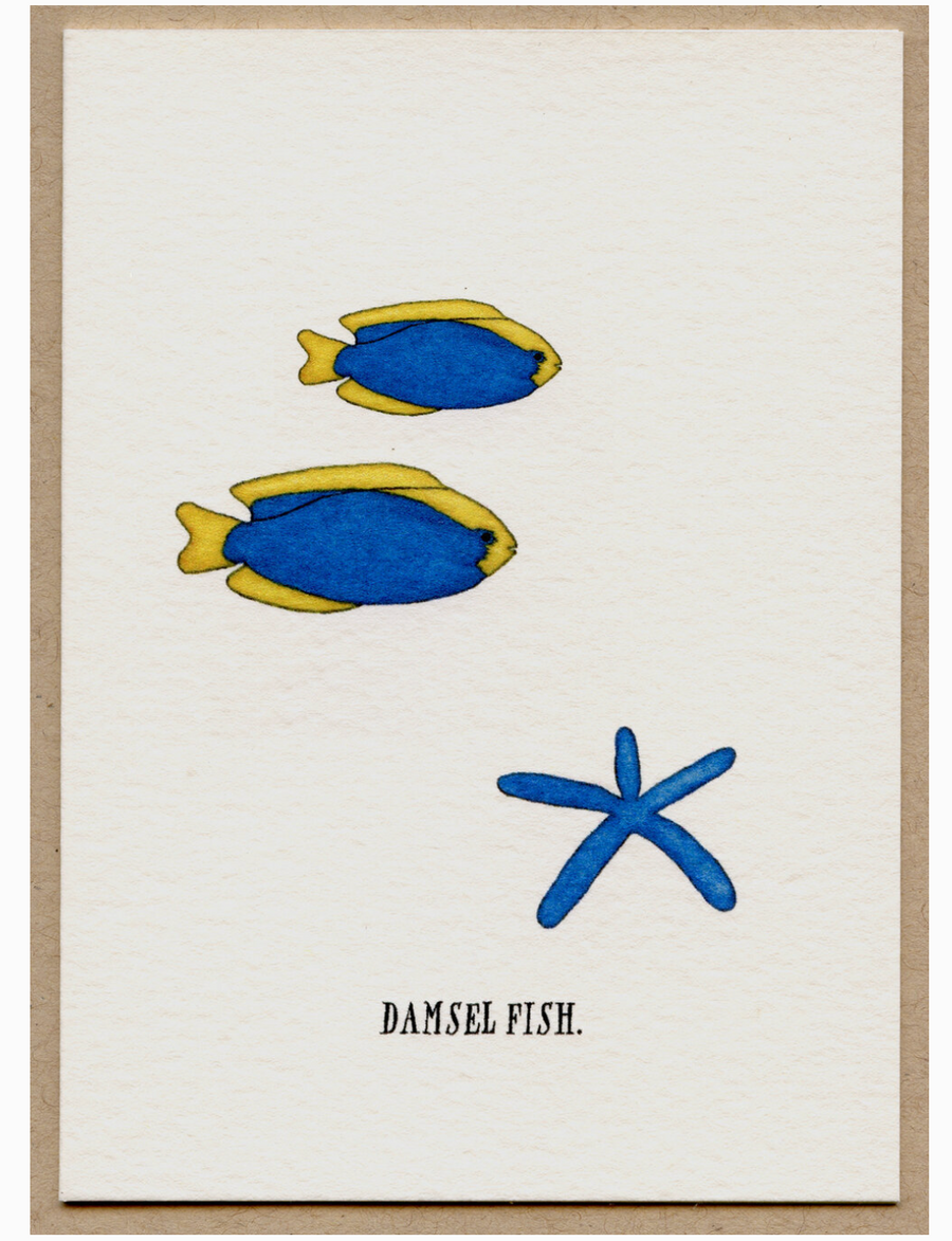 Box of Cards by Beth Mueller - Tropical Fish