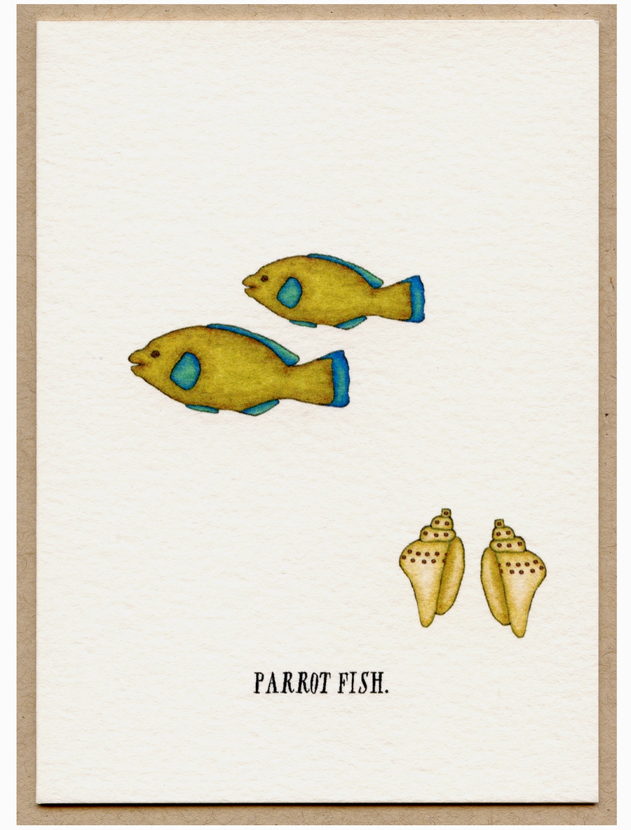 Box of Cards by Beth Mueller - Tropical Fish