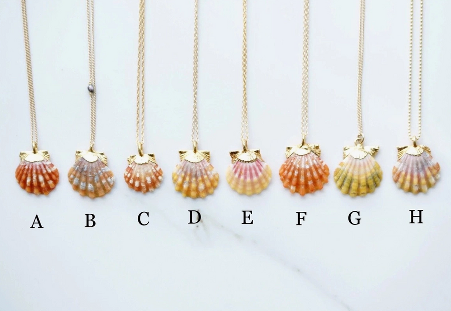 Sunrise Shell Necklace - Size G