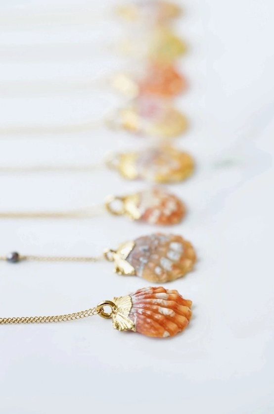 Sunrise Shell Necklace - Size G