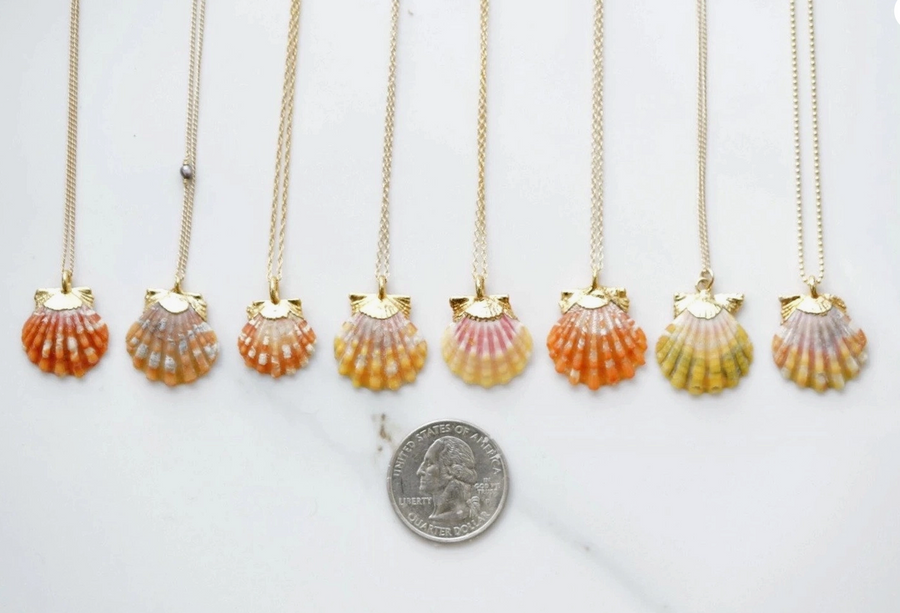 Sunrise Shell Necklace - Size B