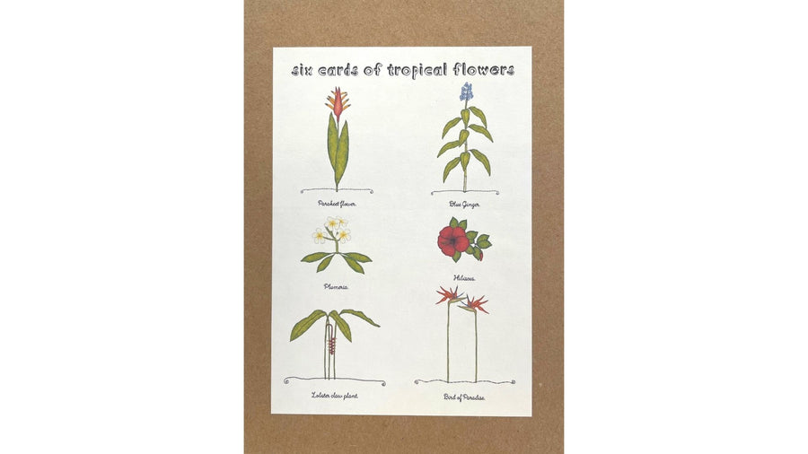 Box of Cards by Beth Mueller - Tropical Flowers