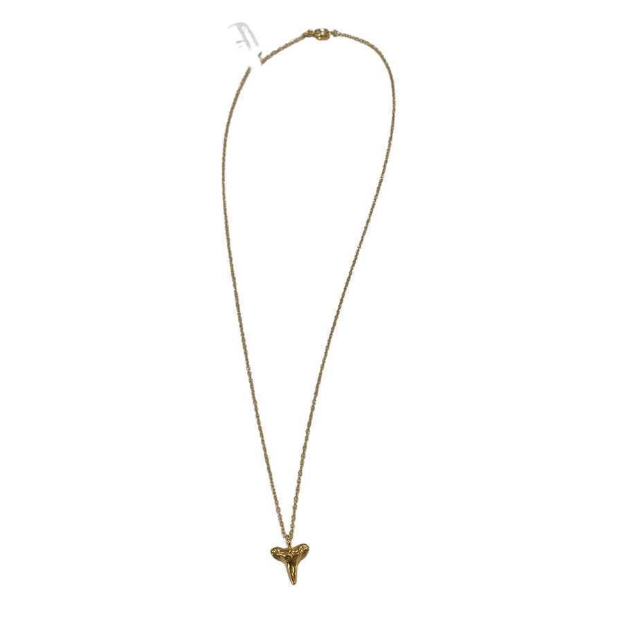 Small Shark Tooth Necklace - Vermeil