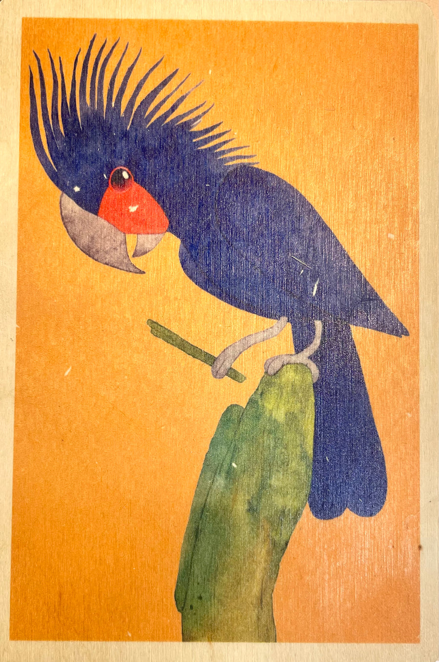 Wooden Postcard - 'Palm Cockatoo'
