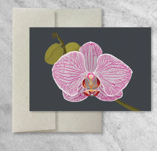 Orchid Greeting Cards- Box Set of 8