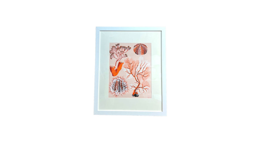 Coral Seaweed Print - Sarah Gordon